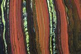Polished Tiger Iron Stromatolite - ( Billion Years) #72901-1